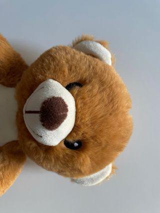 Peluche Orso Marrone