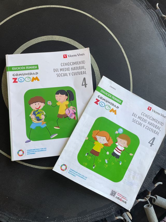 CONOCIMIENTO DEL MEDIO 4 (COMUNIDAD ZOOM)