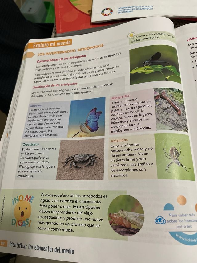 CONOCIMIENTO DEL MEDIO 4 (COMUNIDAD ZOOM)