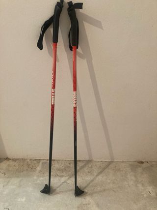 Palos esquí nórdico Sting