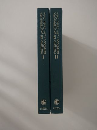 Historia de la literatura española