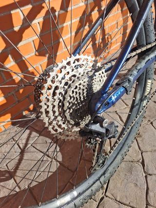Orbea Oiz Next Mtb
