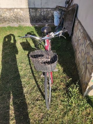 Bicicleta clásica vintage