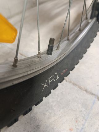 Bicicleta Trek Precaliber 24.