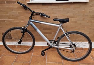 Bicicleta adulto