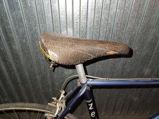 Bicicleta carretera clásica Zeus