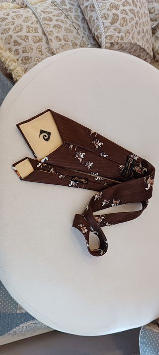 Cravatta vintage Pierre Cardin