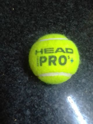 Pelota Head Pro+ Padel