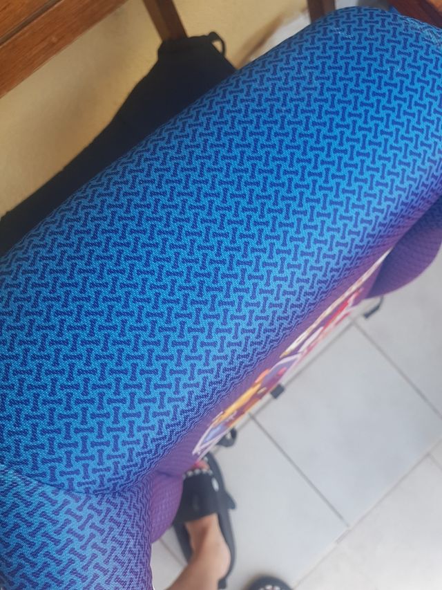 Elevador Patrulla Canina