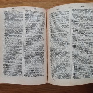 Diccionario Francés - Español de Rafael Reyes