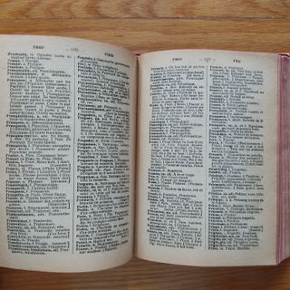 Diccionario Francés - Español de Rafael Reyes