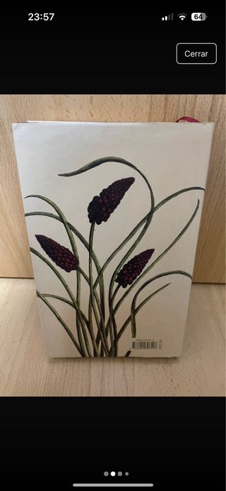 lote 4 libros novela romántica