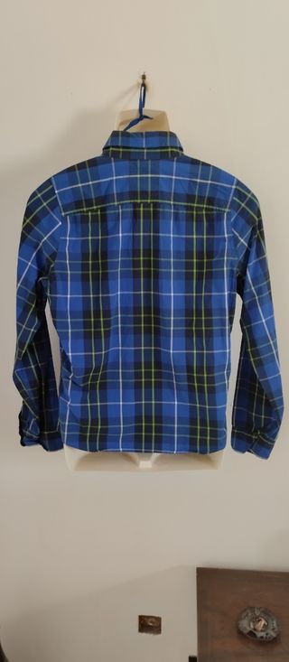 Camicia Hollister a quadri blu-verde