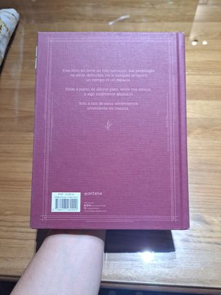 Libro Sinergia