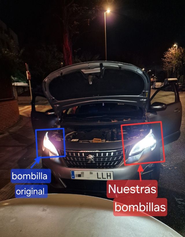 Bombillas LED Xenon D1S D2S