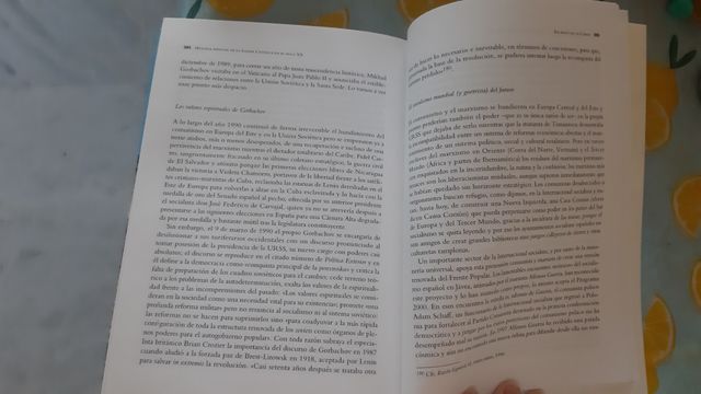 Historia esencial de la iglesia catolica en el sig