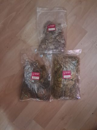 Musgo y césped para maquetas
