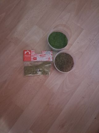 Musgo y césped para maquetas