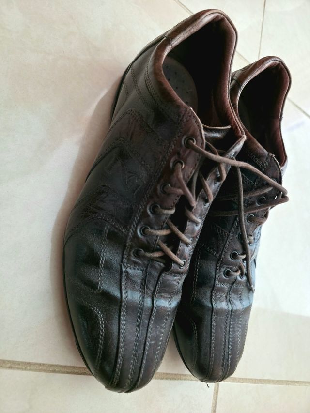 Scarpe stringate Nero Giardini color testa di moro