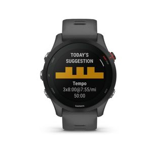 Reloj GPS GARMIN FORERUNNER 255 - Gris Pizarra