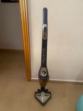 Rowenta Air Force Extreme 24V