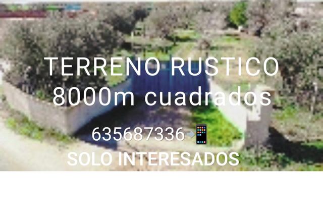 Finca terreno - casa de campo 8067m².
