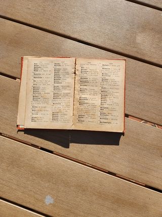 Diccionario de argot español