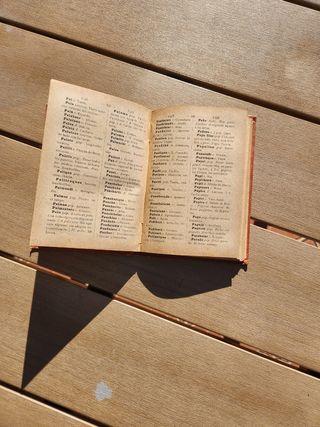 Diccionario de argot español