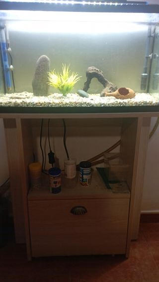 Acuario 80l completo