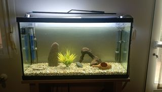 Acuario 80l completo