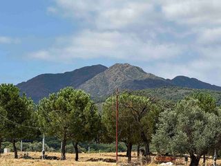Terreno en venta en Coín