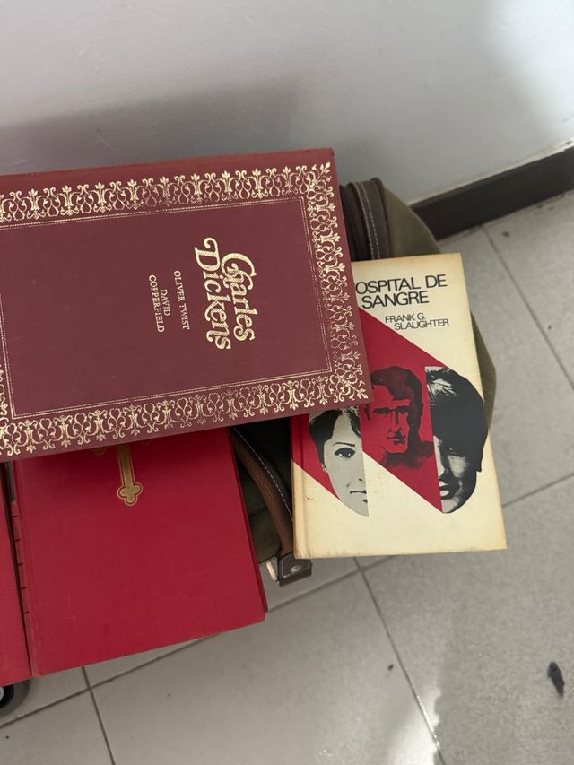 2 bolsas de libros y novelas