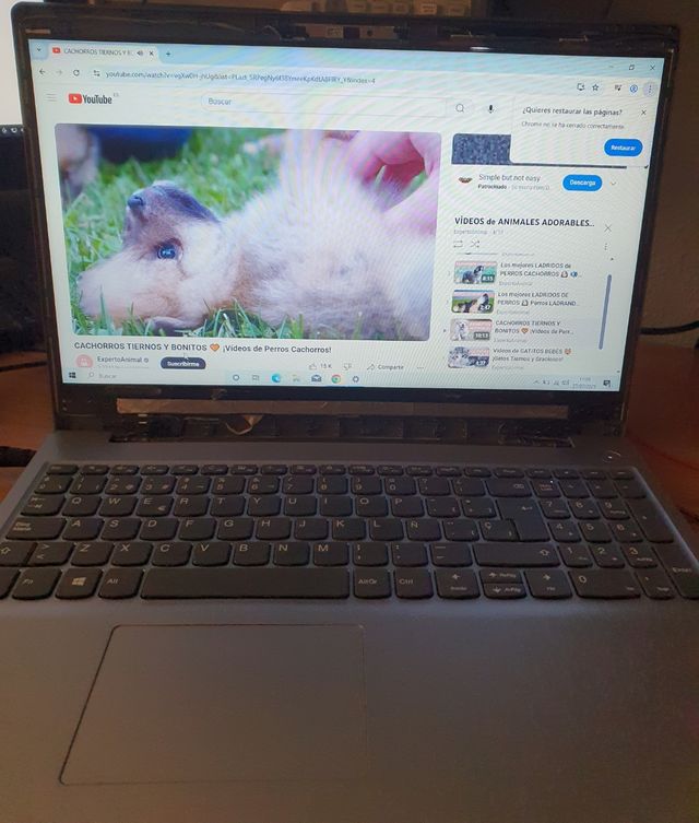 Lenovo IdeaPad 3 15IIL05: Piezas