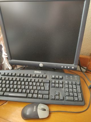 Monitor Dell + Teclado + Ratón