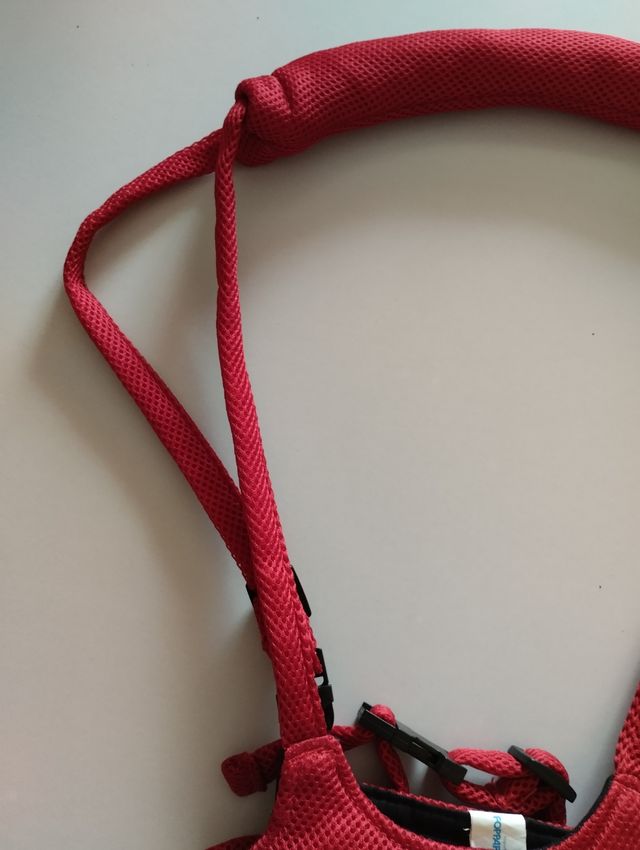 Primi Passi Foppapedretti