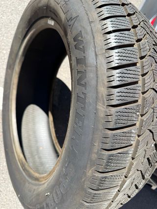 Neumáticos Dunlop Winter Sport 5 SUV