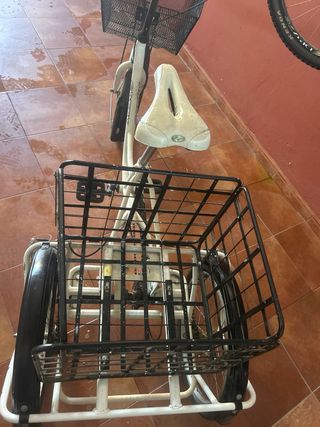 Triciclo adulto Gotty