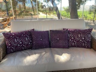 Cojines terciopelo morado-plata
