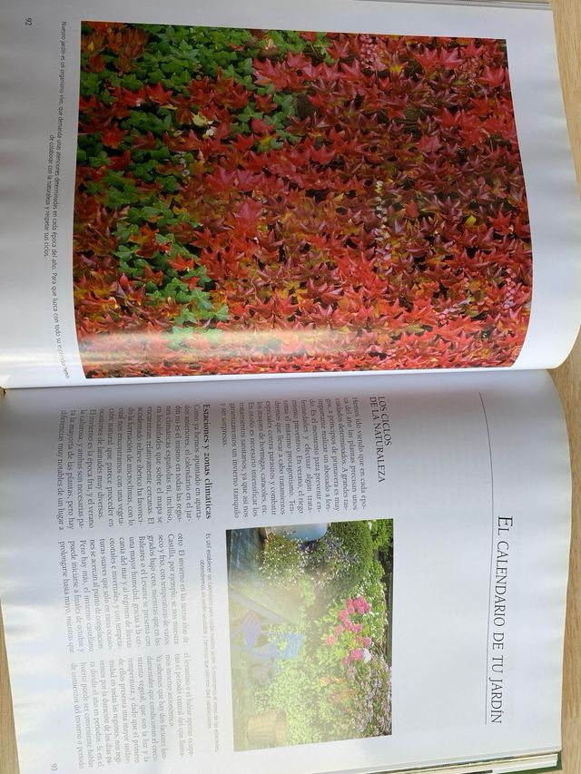 Herramientas jardinería: azada y libros