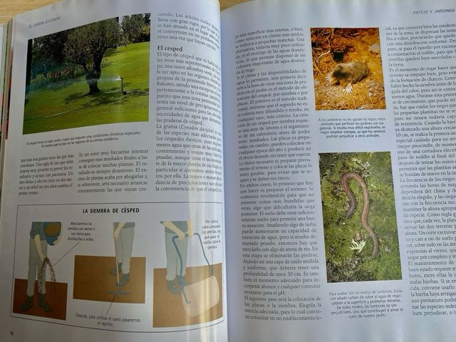 Herramientas jardinería: azada y libros