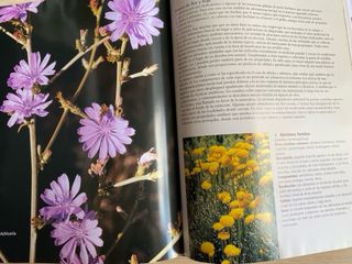 Herramientas jardinería: azada y libros