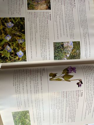 Herramientas jardinería: azada y libros