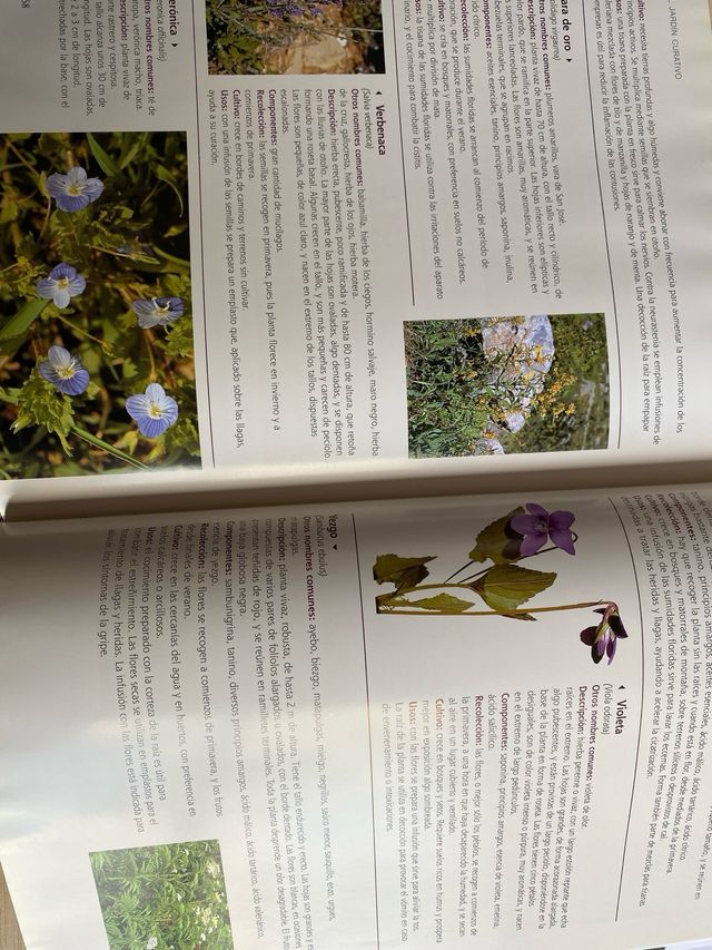 Herramientas jardinería: azada y libros