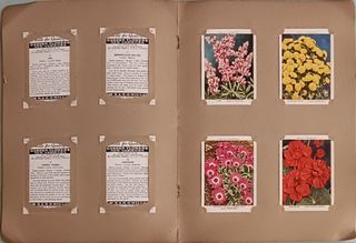 Álbumes cromos ingleses antiguos 