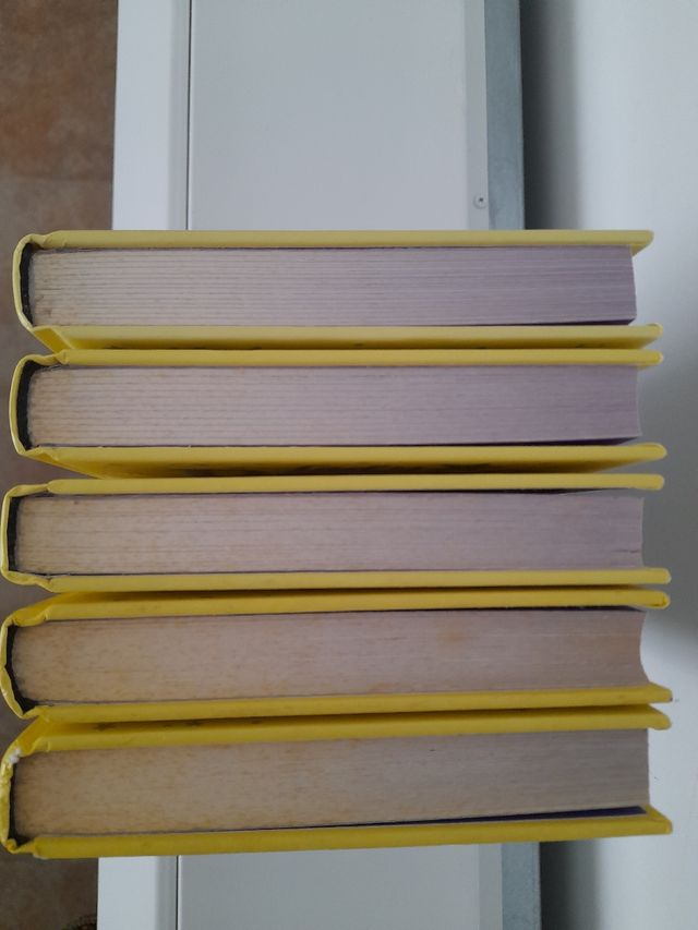 ¡Locuras lejos de casa! (Serie Lady Pecas 1)