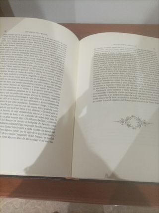 El Quijote: Edicion de Lujo (2)
