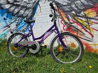 Bicicleta paseo