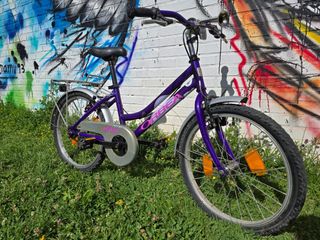 Bicicleta paseo