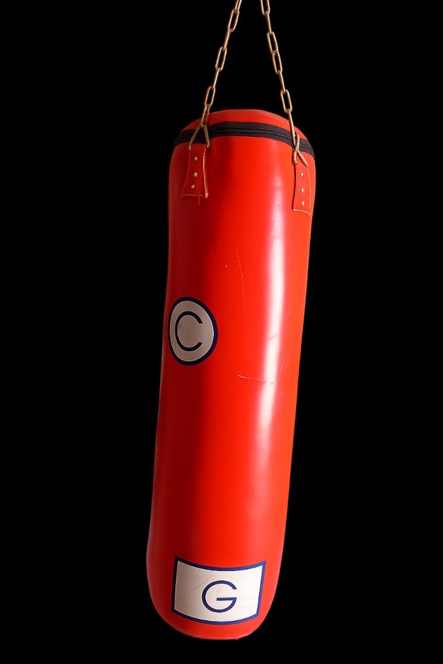 Saco boxeo Domyos + guantes