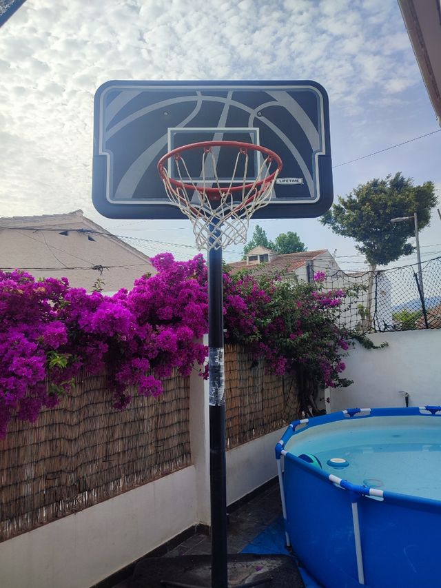 Canasta baloncesto Lifetime